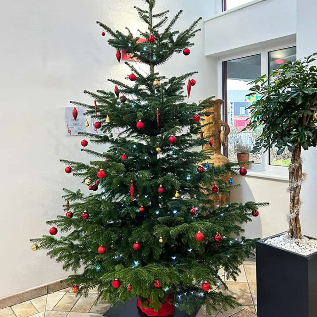Geschmückter Weihnachtsbaum im Eingangsbereich von Aigner