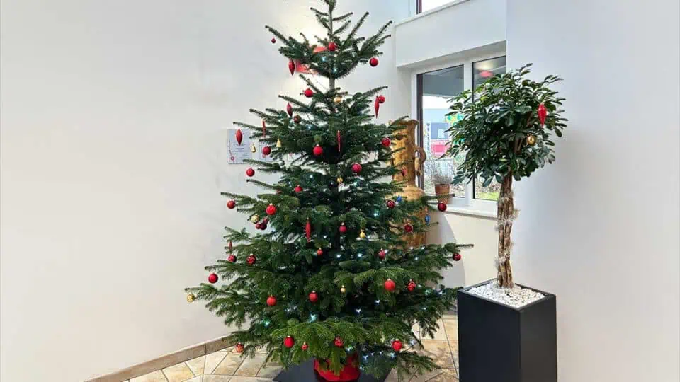Geschmückter Weihnachtsbaum im Eingangsbereich von Aigner