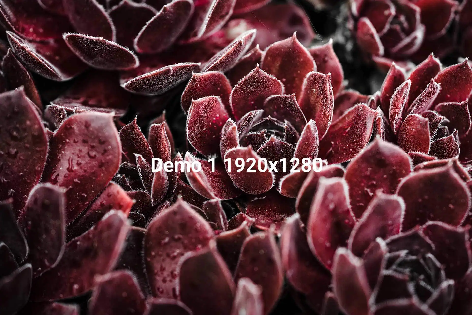 Demo01 - quer - 1920x1280