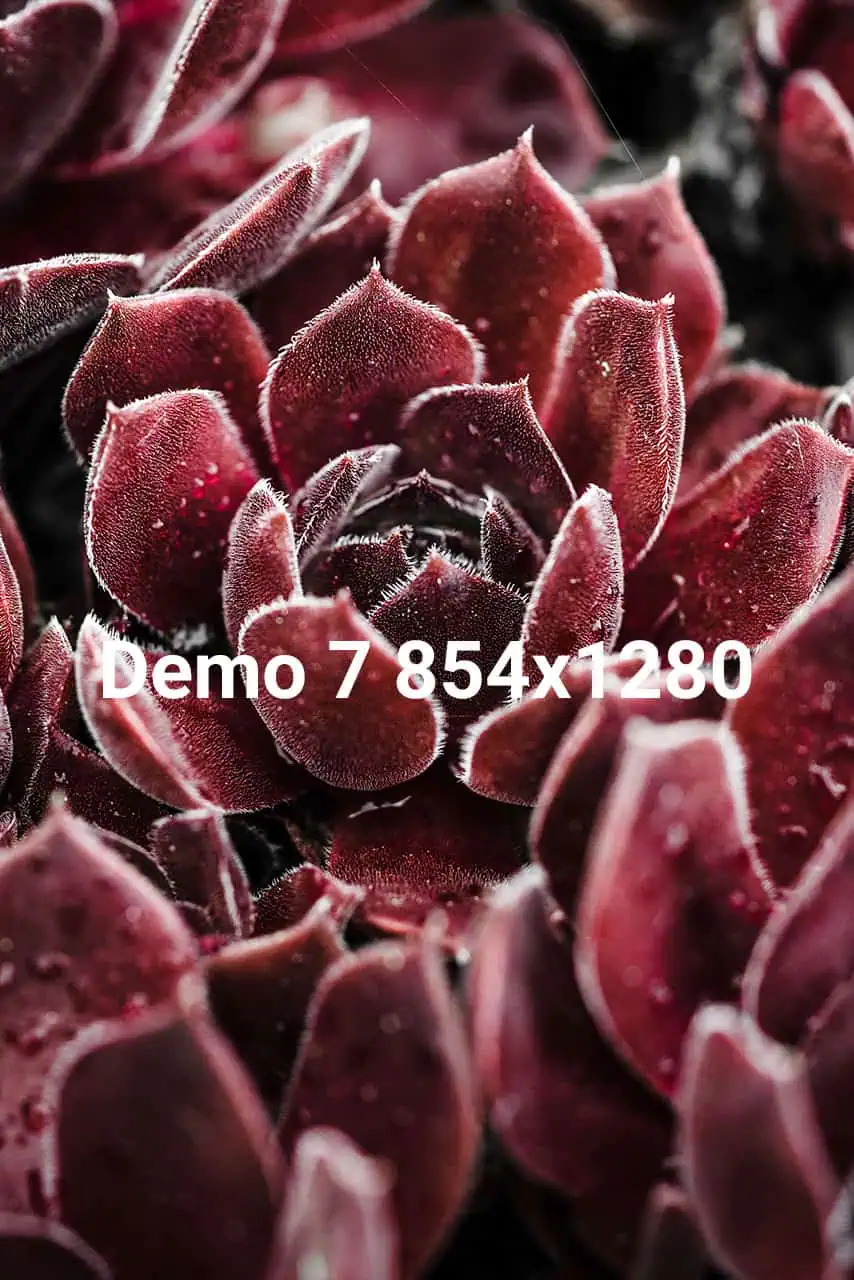 Demo07 - hoch - 854x1280