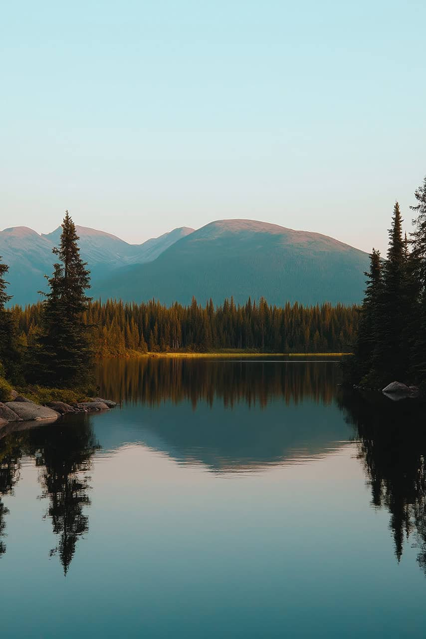 DemoC - empty hoch - 854x1280