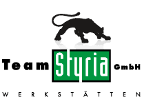 Logo Styria