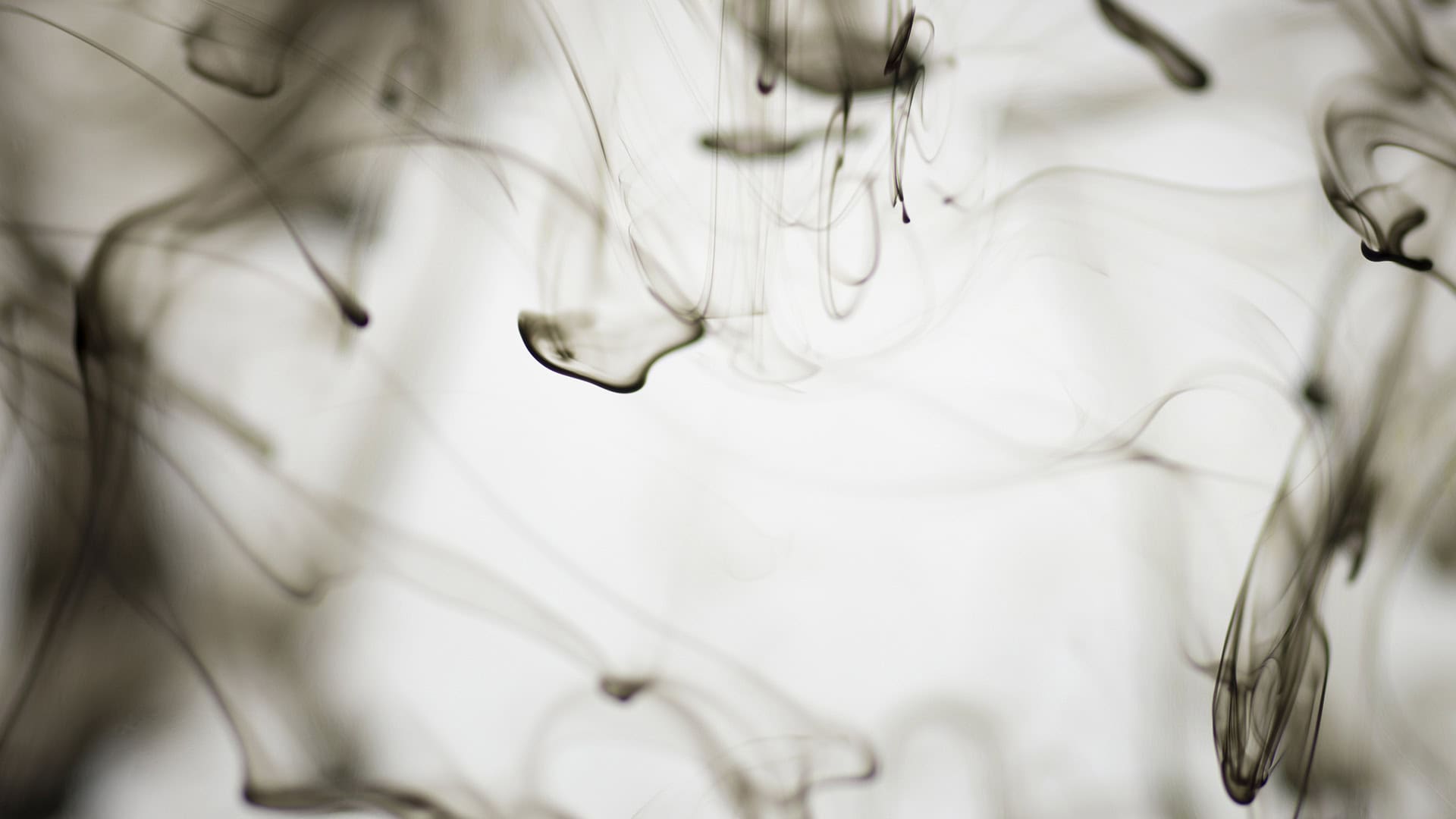 Bildbeschreibung zum Bild Industriehalle mit Gasabsaugung und Filtertechnik für Gase und Gerüche